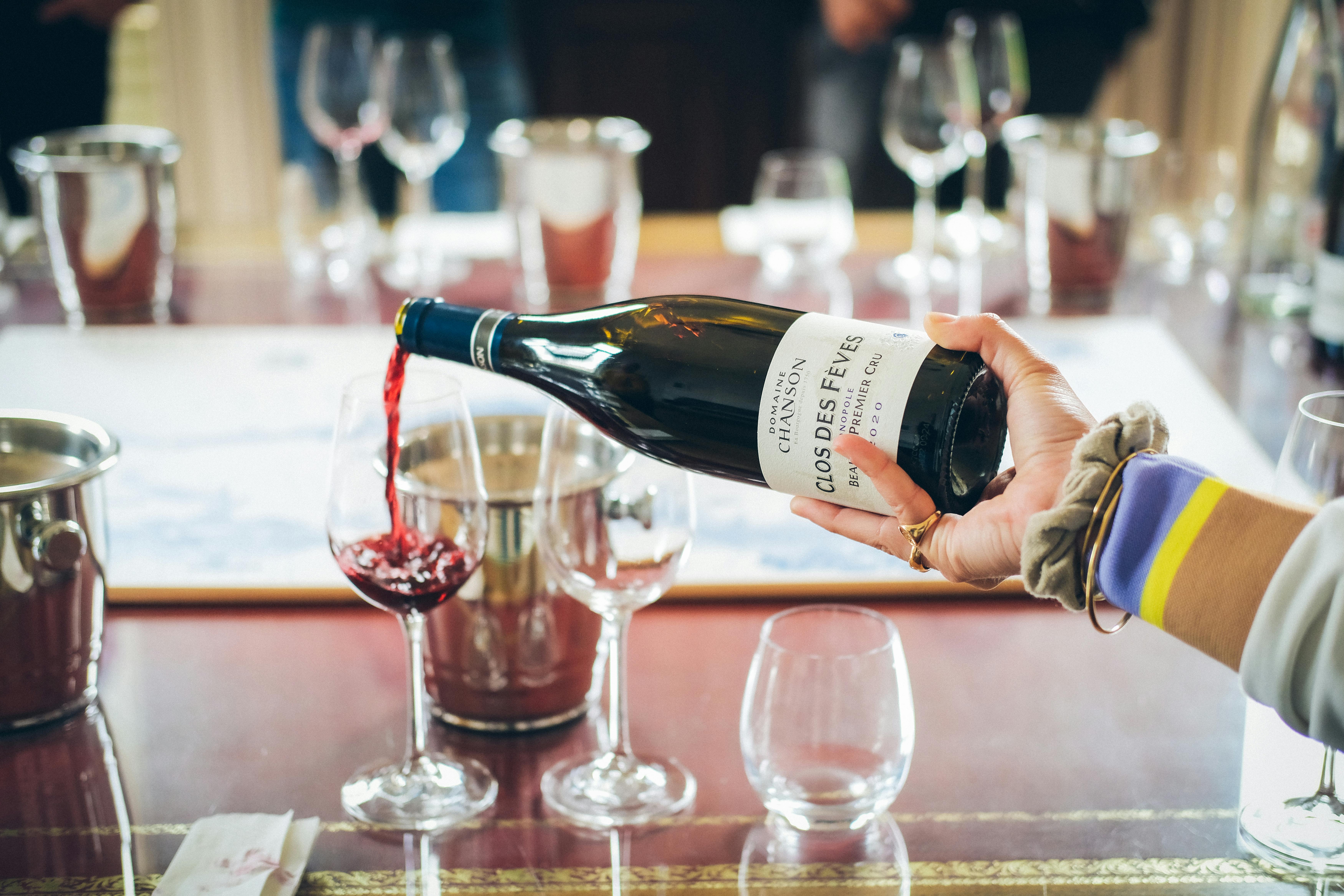 Cata de vino en Badajoz - Galería de imágenes